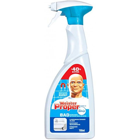 Meister Proper Badspray, 700 ml